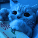 ɐwʎ ɔ vǝmоɔ dиw